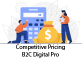 Competitive Pricing B2C Digital Pro